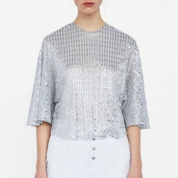 ZARA Silver Mirror Sequin Dolman Sleeve Flowy Top - Picture 2 of 8